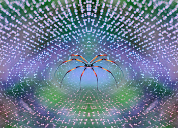 Ljuddämpande tavla - Plexus