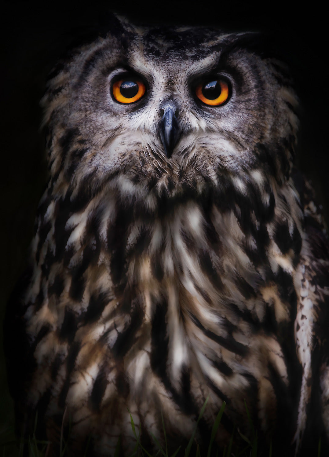Ljuddämpande tavla - The Wise