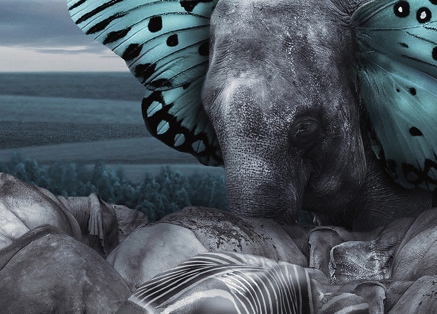 Ljuddämpande tavla - Fly on Wings of Dreams