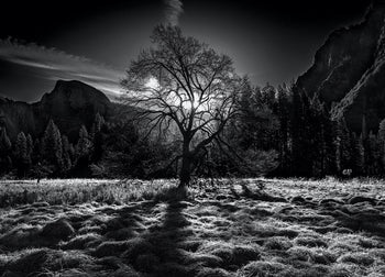 Ljuddämpande tavla - Peaceful Nature