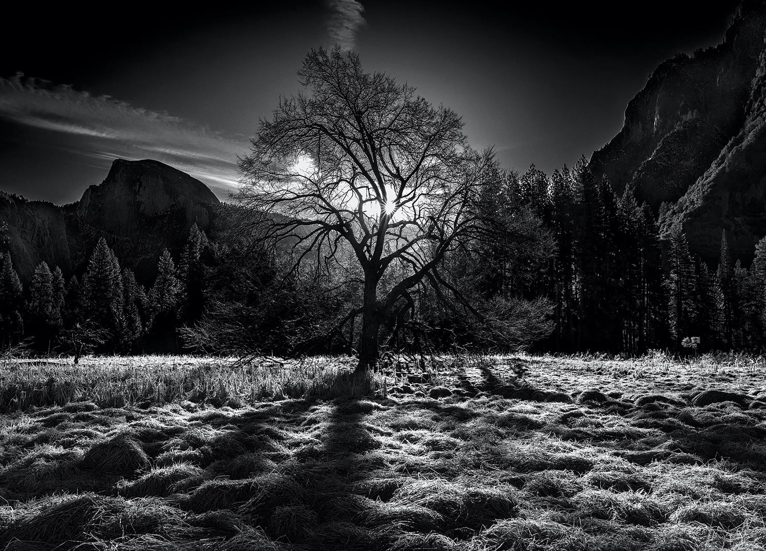 Ljuddämpande tavla - Peaceful Nature