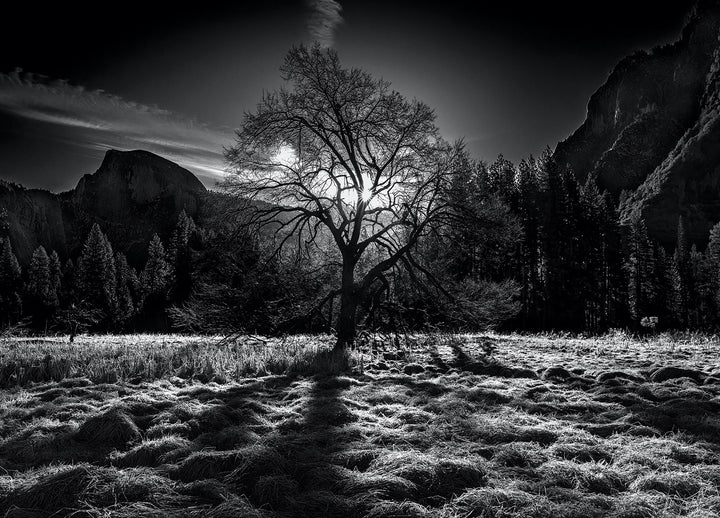 Ljuddämpande tavla - Peaceful Nature