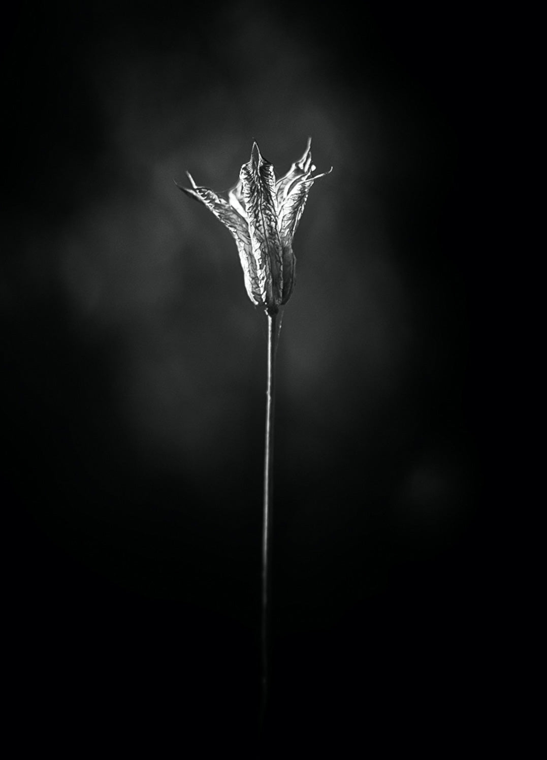 Ljuddämpande tavla - Bloom in The Light