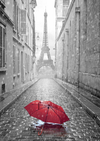 Ljuddämpande tavla - Paris Tavlor