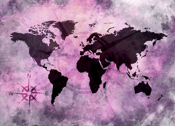 Ljuddämpande tavla - The world map "Pink World"