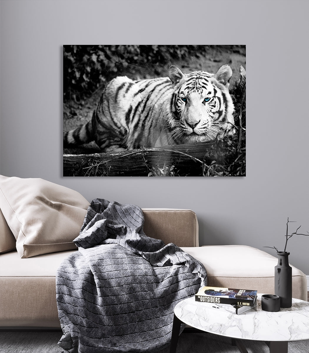 Ljuddämpande tavla - Vit Tiger
