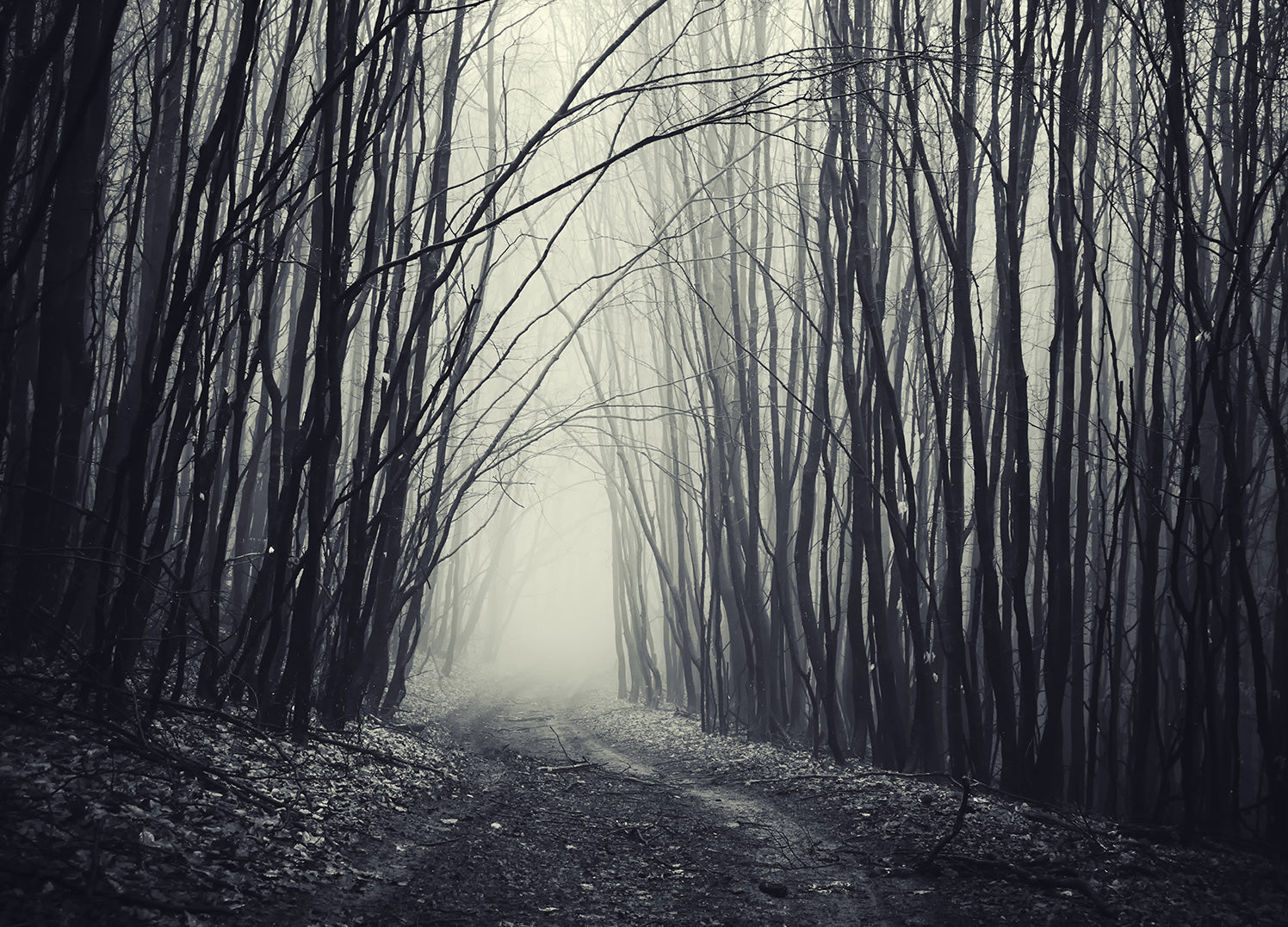 Ljuddämpande tavla - Svart Skog Tavla