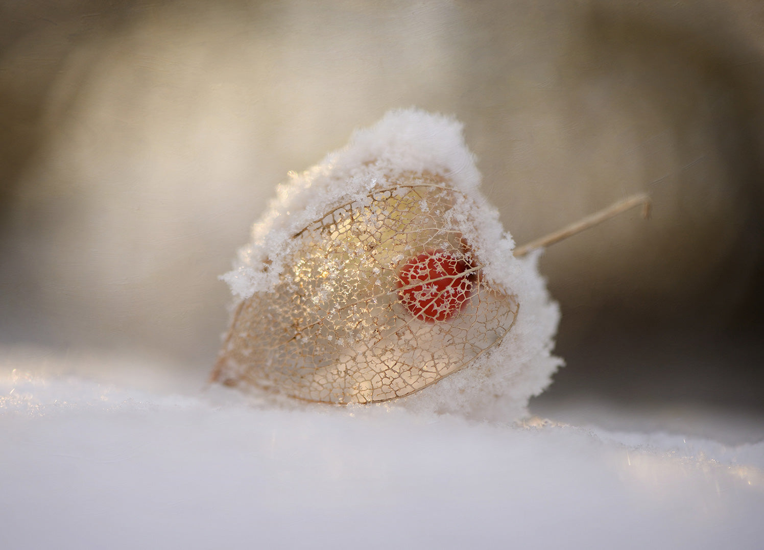 Ljuddämpande tavla - Frost
