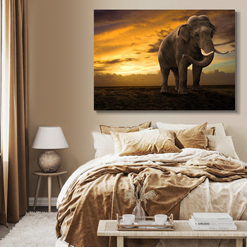 Ljuddämpande tavla - Elefant