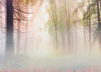 Ljuddämpande tavla - Mystical forest