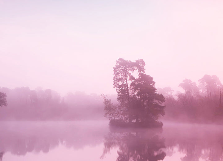 Ljuddämpande tavla - Rosa Gryning