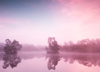 Ljuddämpande tavla - Rosa Gryning