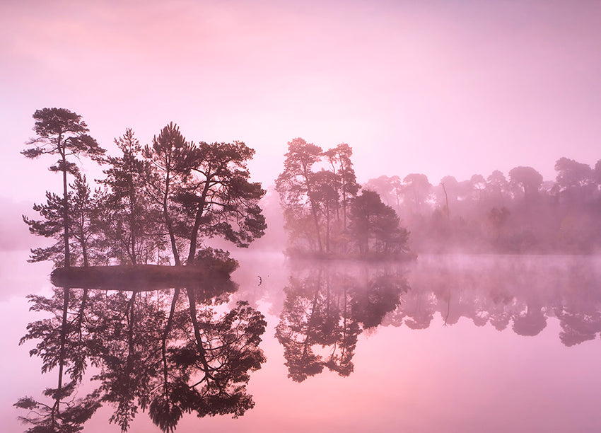 Ljuddämpande tavla - Misty Lake