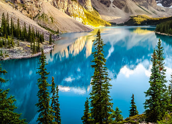 Ljuddämpande tavla - Moraine