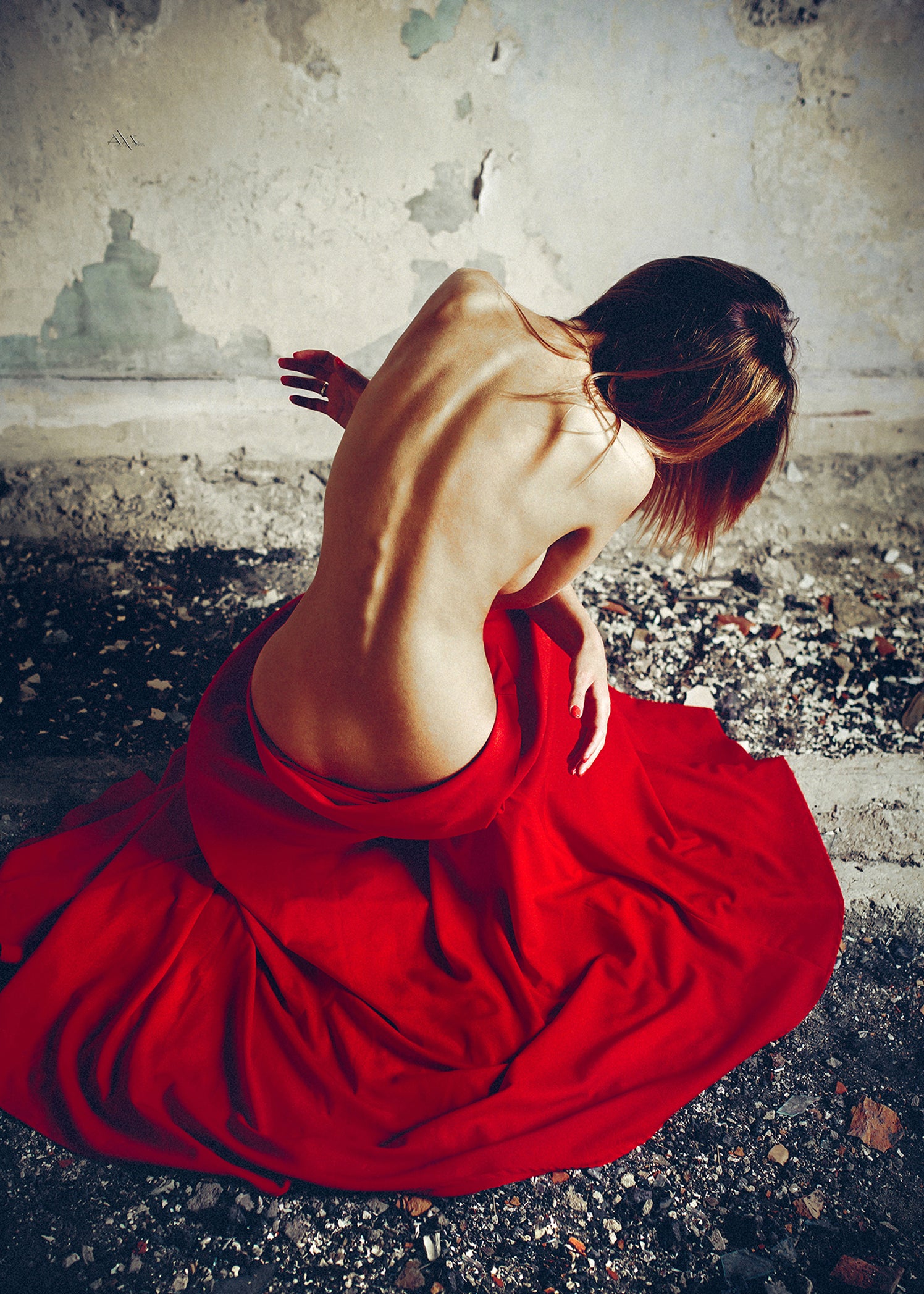Ljuddämpande tavla - Lady in red