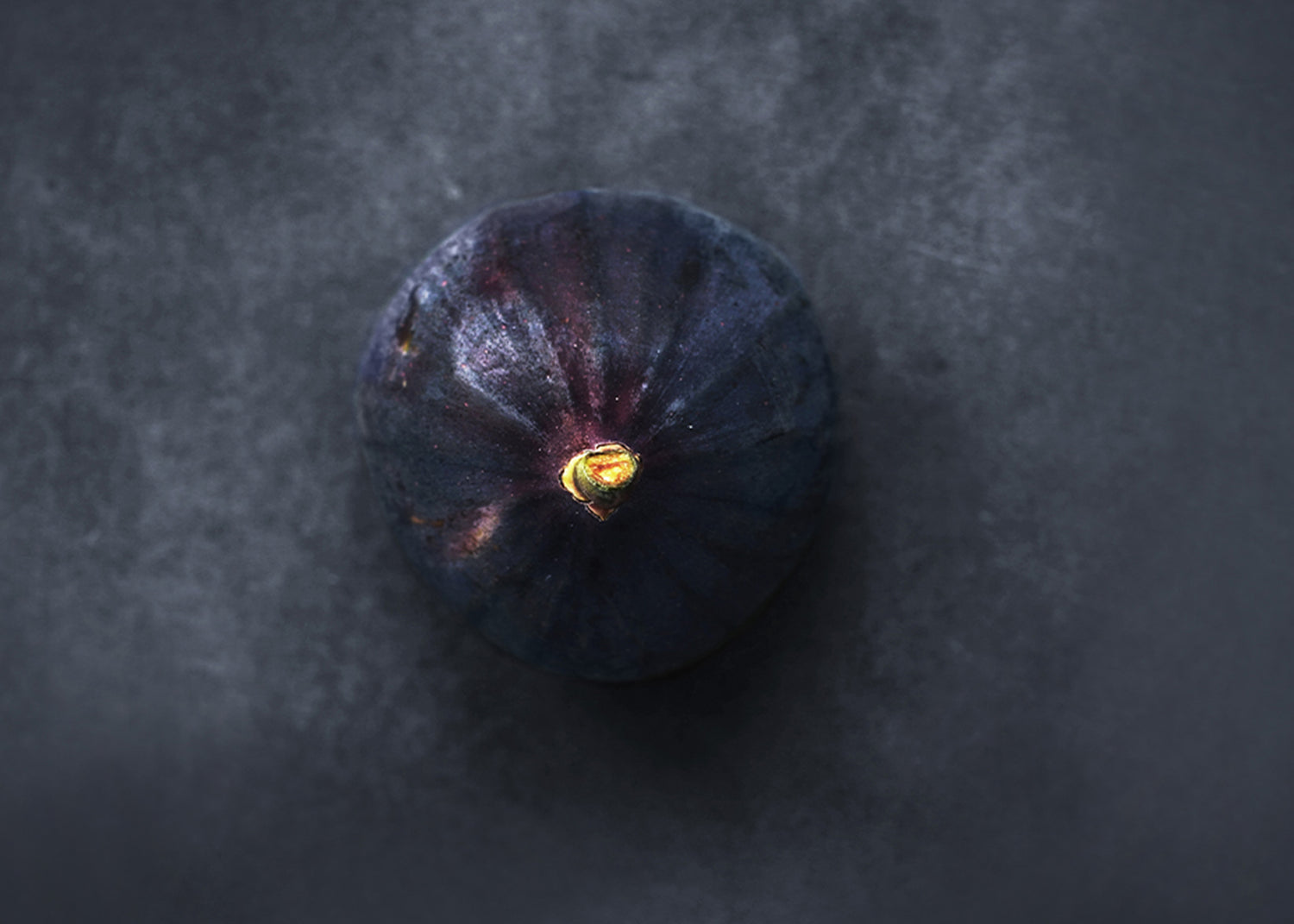 Ljuddämpande tavla - Fig