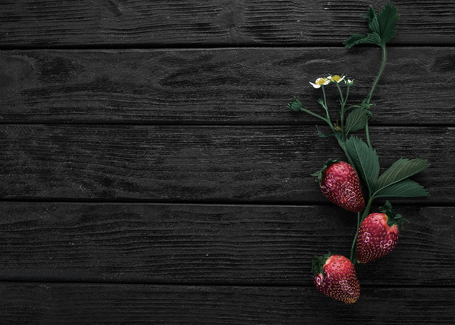 Ljuddämpande tavla - Strawberry