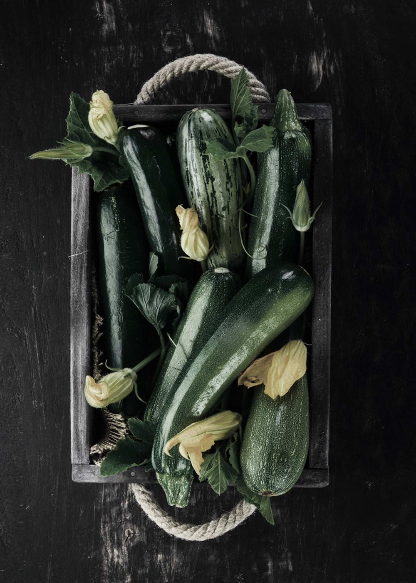 Ljuddämpande tavla - Zucchini