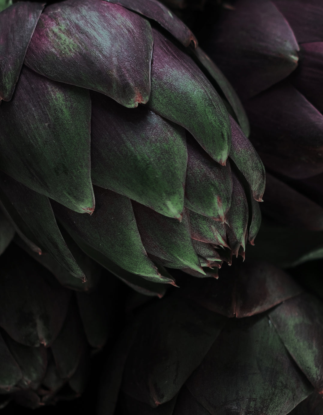 Ljuddämpande tavla - Artichokes