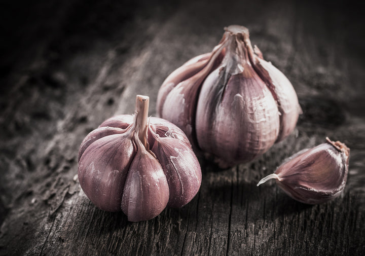 Ljuddämpande tavla - Garlic