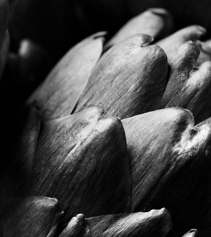 Ljuddämpande tavla - Cardoon