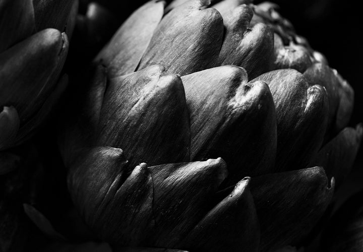 Ljuddämpande tavla - Cardoon