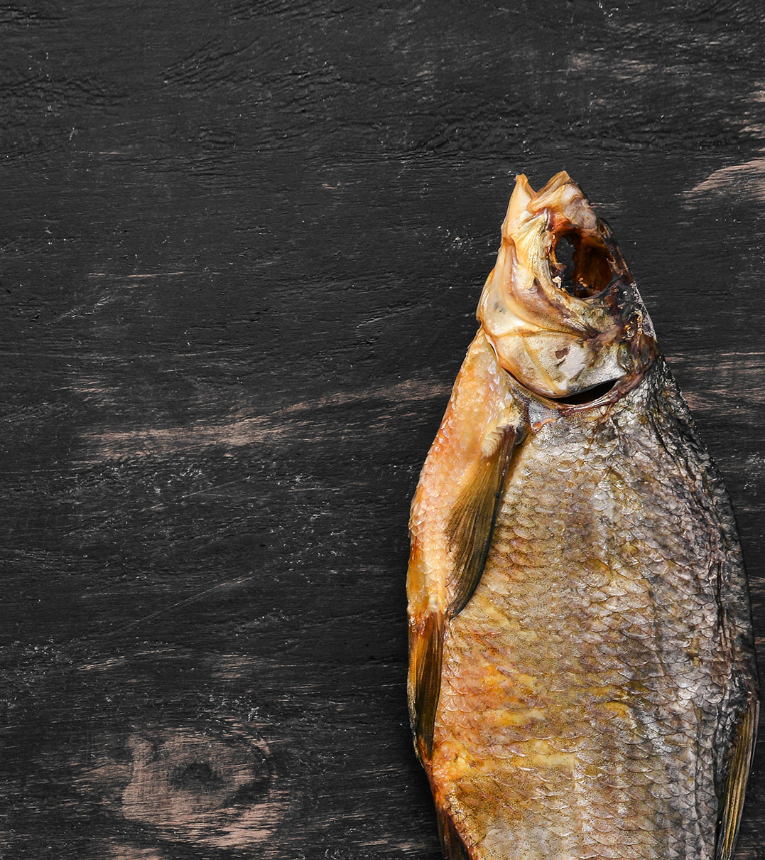 Ljuddämpande tavla - Fish