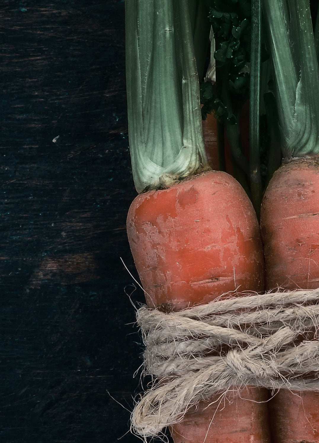 Ljuddämpande tavla - Carrot