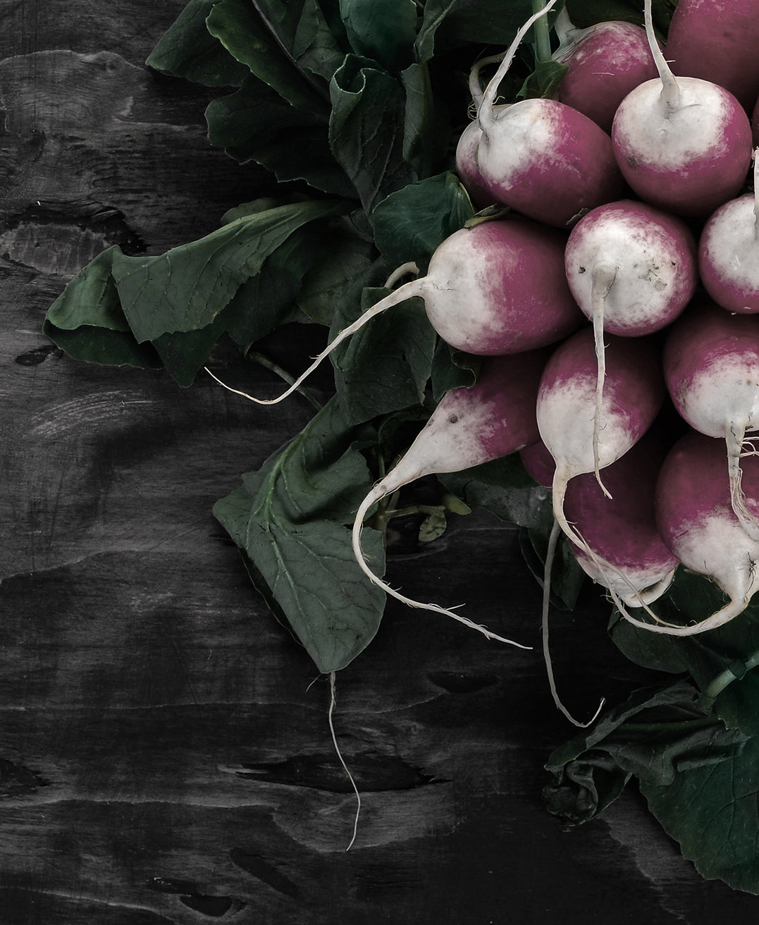 Ljuddämpande tavla - Radish