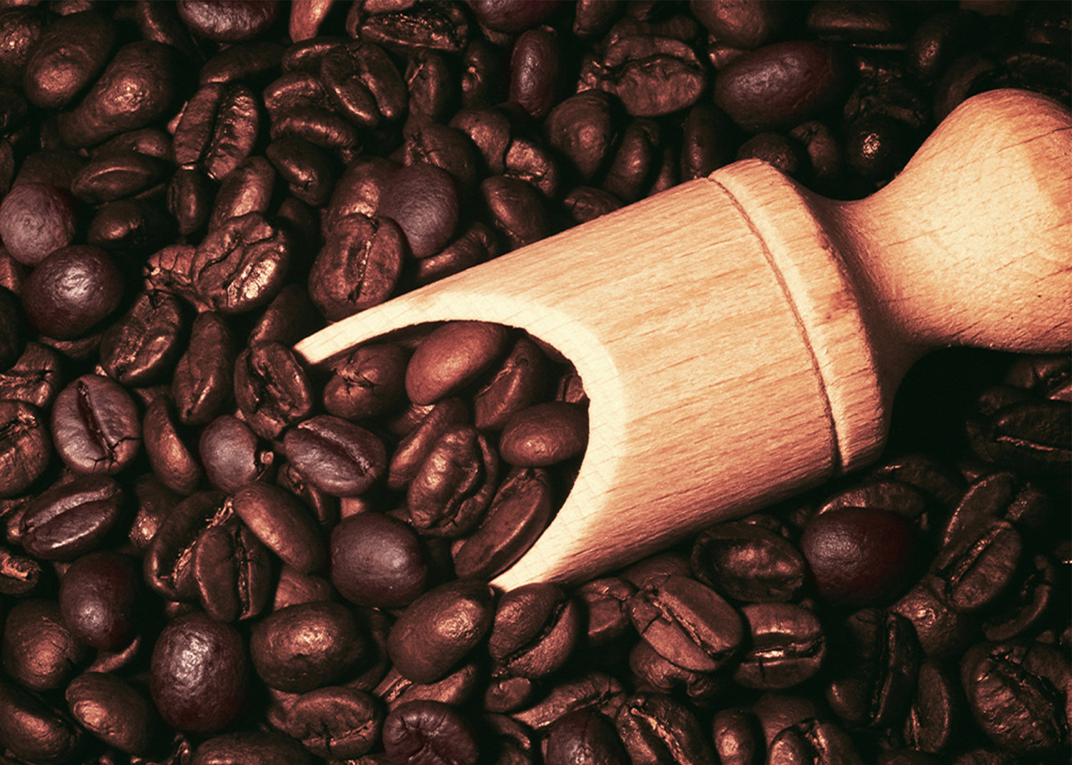 Ljuddämpande tavla - Coffee Beans