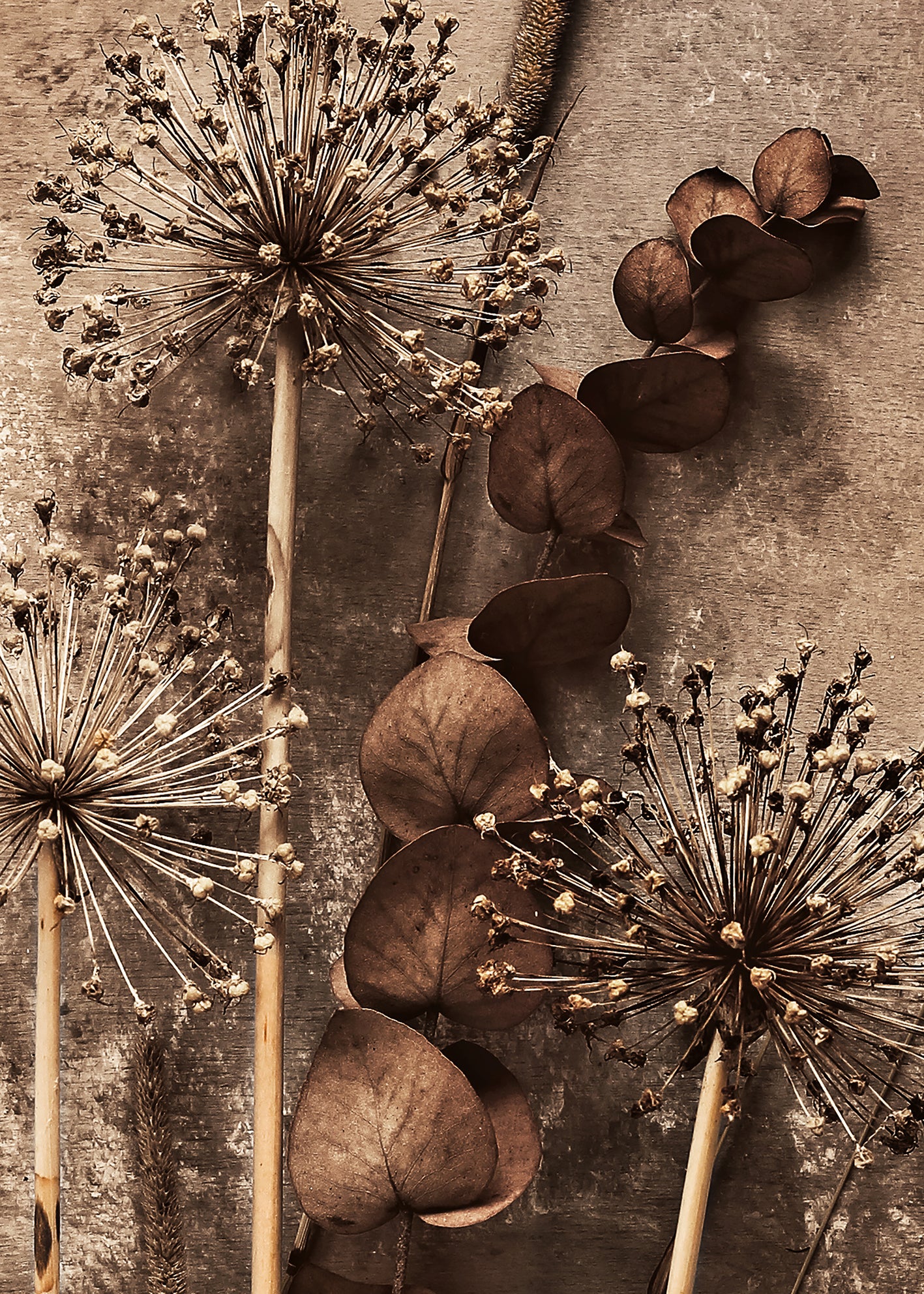Ljuddämpande tavla - Art of Flowers