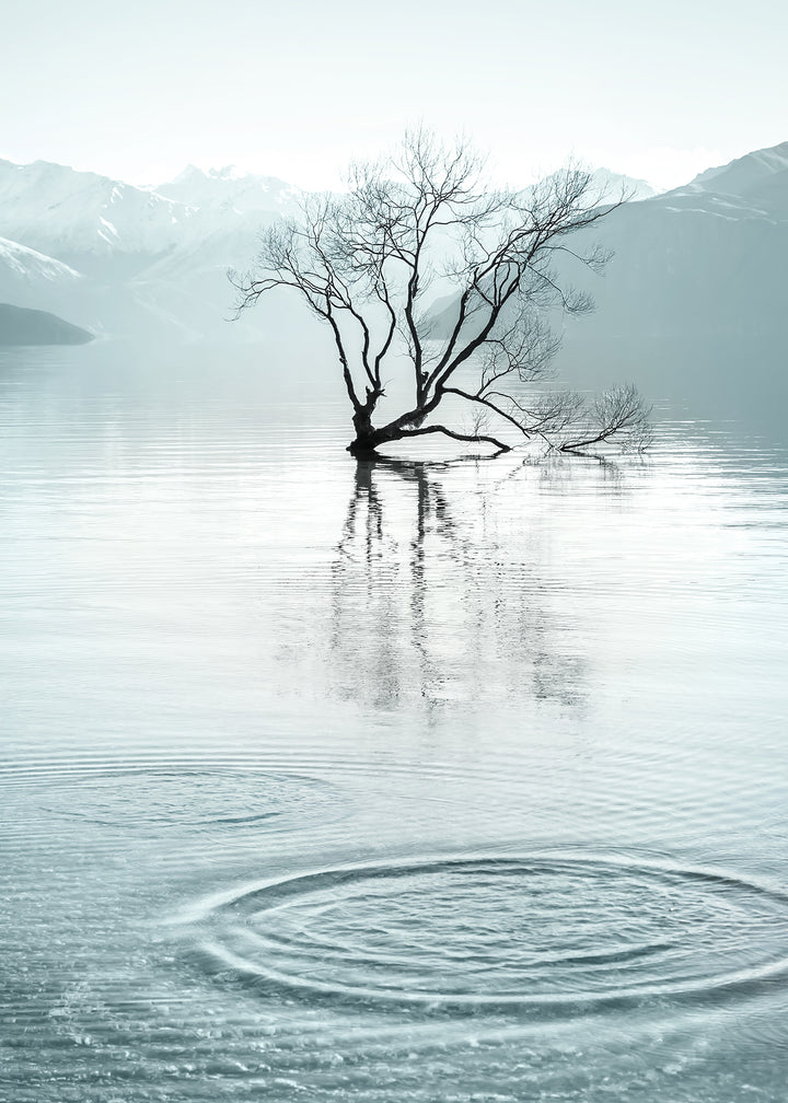 Ljuddämpande tavla - Quietude