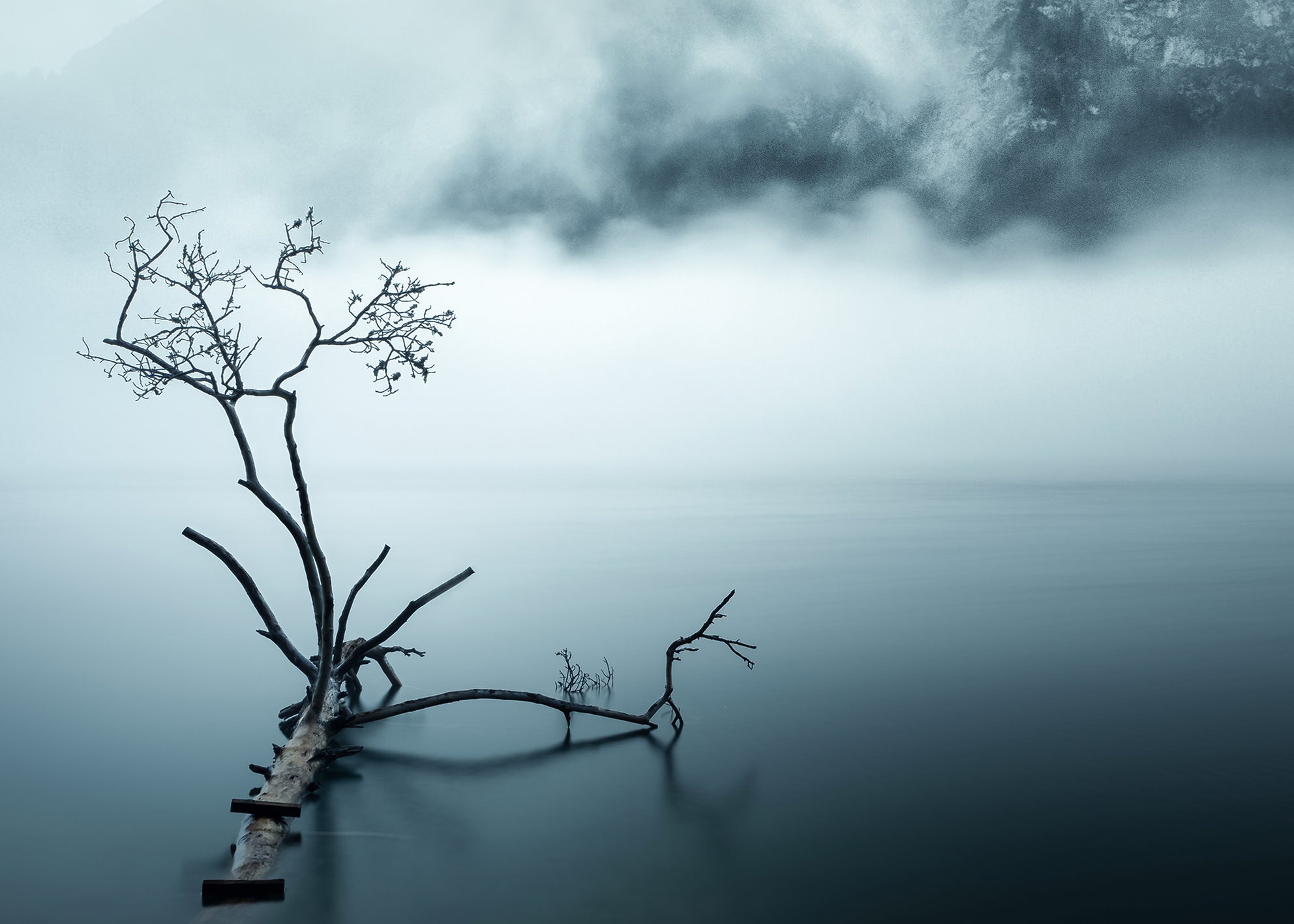 Ljuddämpande tavla - Quiet Nature