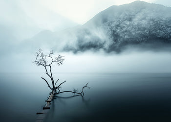 Ljuddämpande tavla - Quiet Nature
