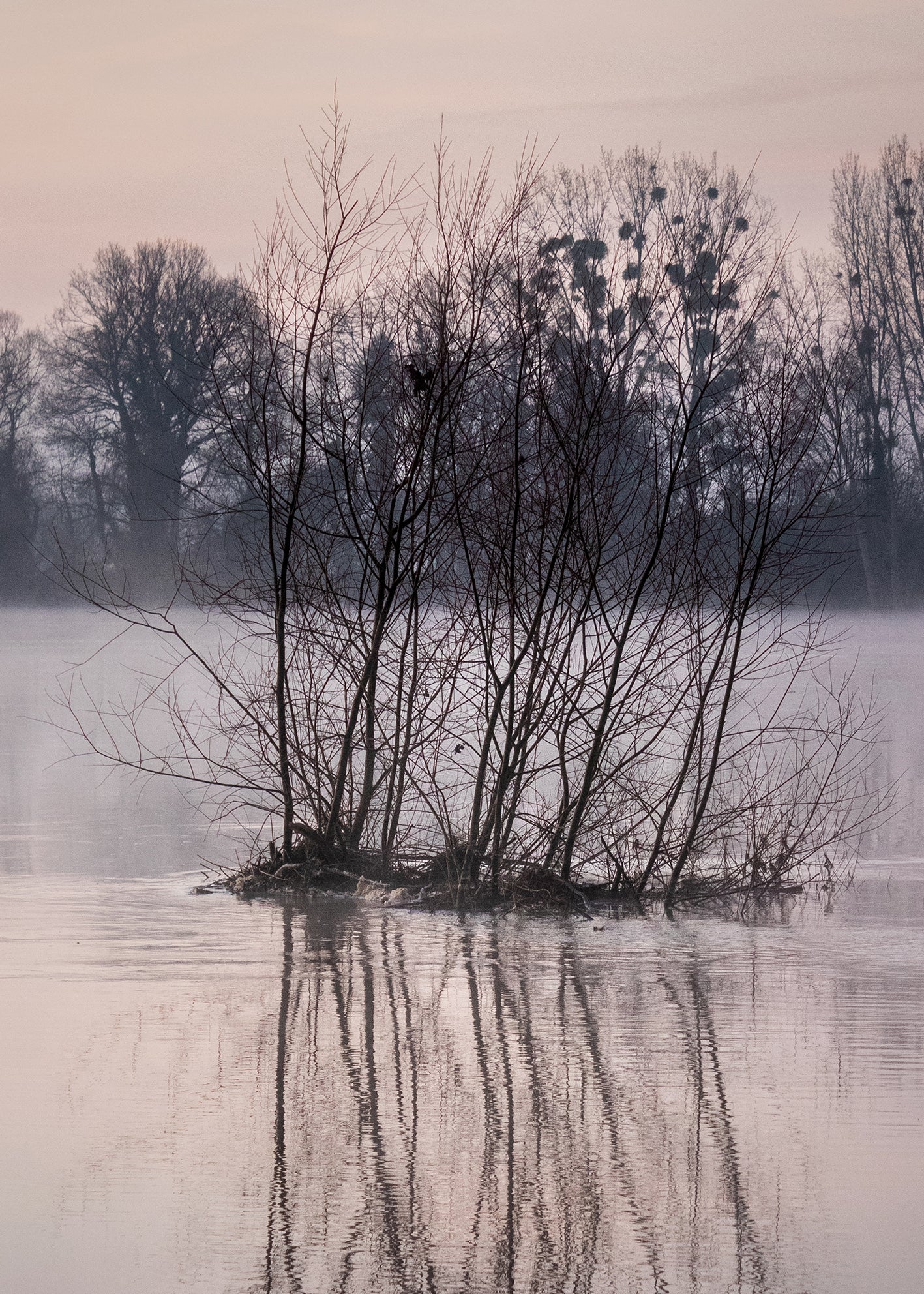 Ljuddämpande tavla - Cold Morning