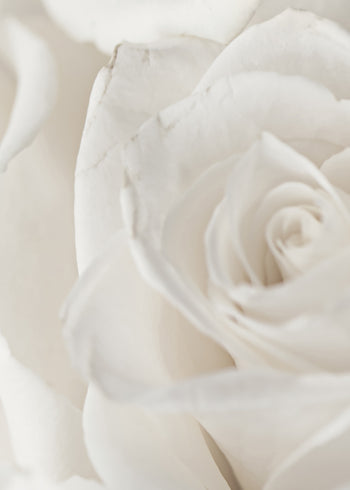 Ljuddämpande tavla - Charming Roses
