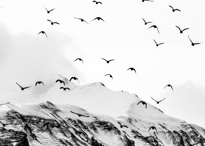 Ljuddämpande tavla - Mountains & Birds