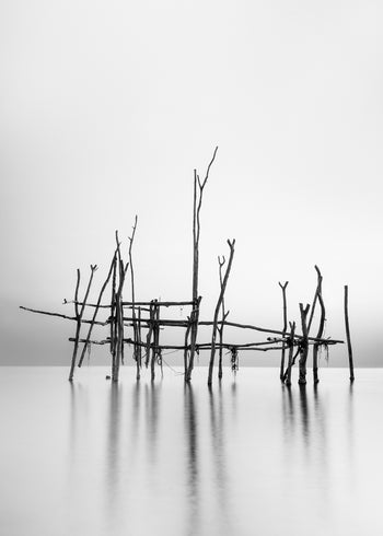 Ljuddämpande tavla - Cranes in Sea