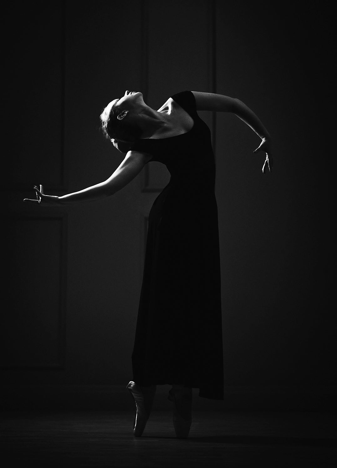 Ljuddämpande tavla - Dancing in the Shadows