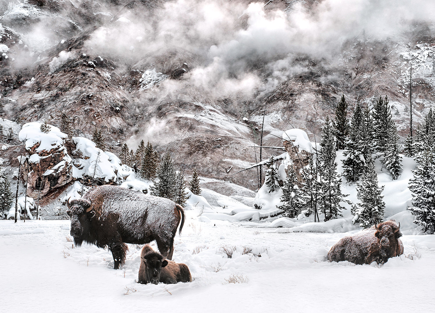 Ljuddämpande tavla - Winter is Coming