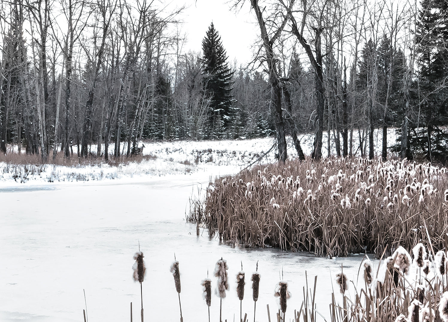 Ljuddämpande tavla - Ice & Snow