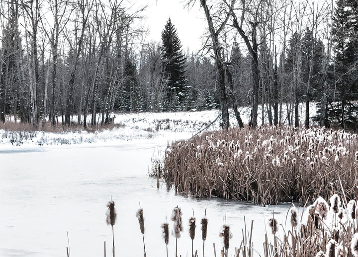 Ljuddämpande tavla - Ice & Snow