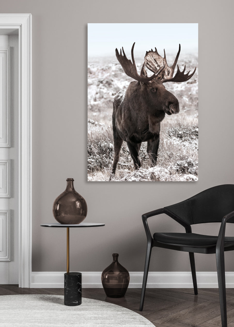 Ljuddämpande tavla - Moose