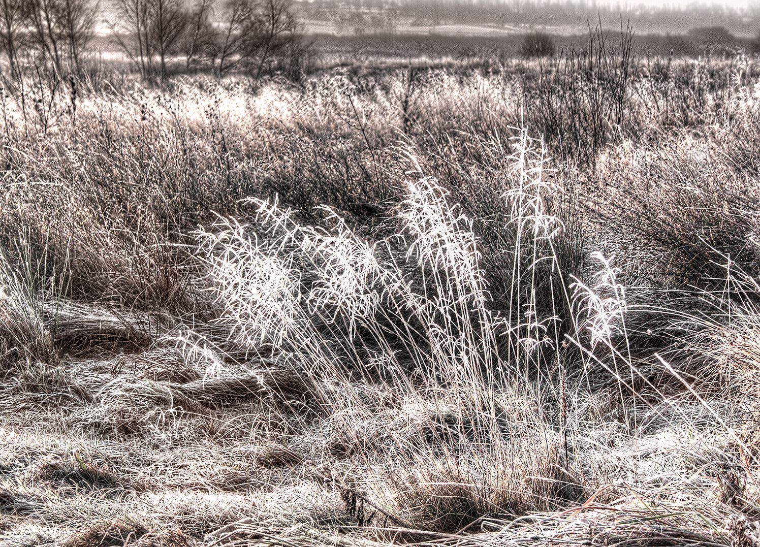 Ljuddämpande tavla - Winter Field