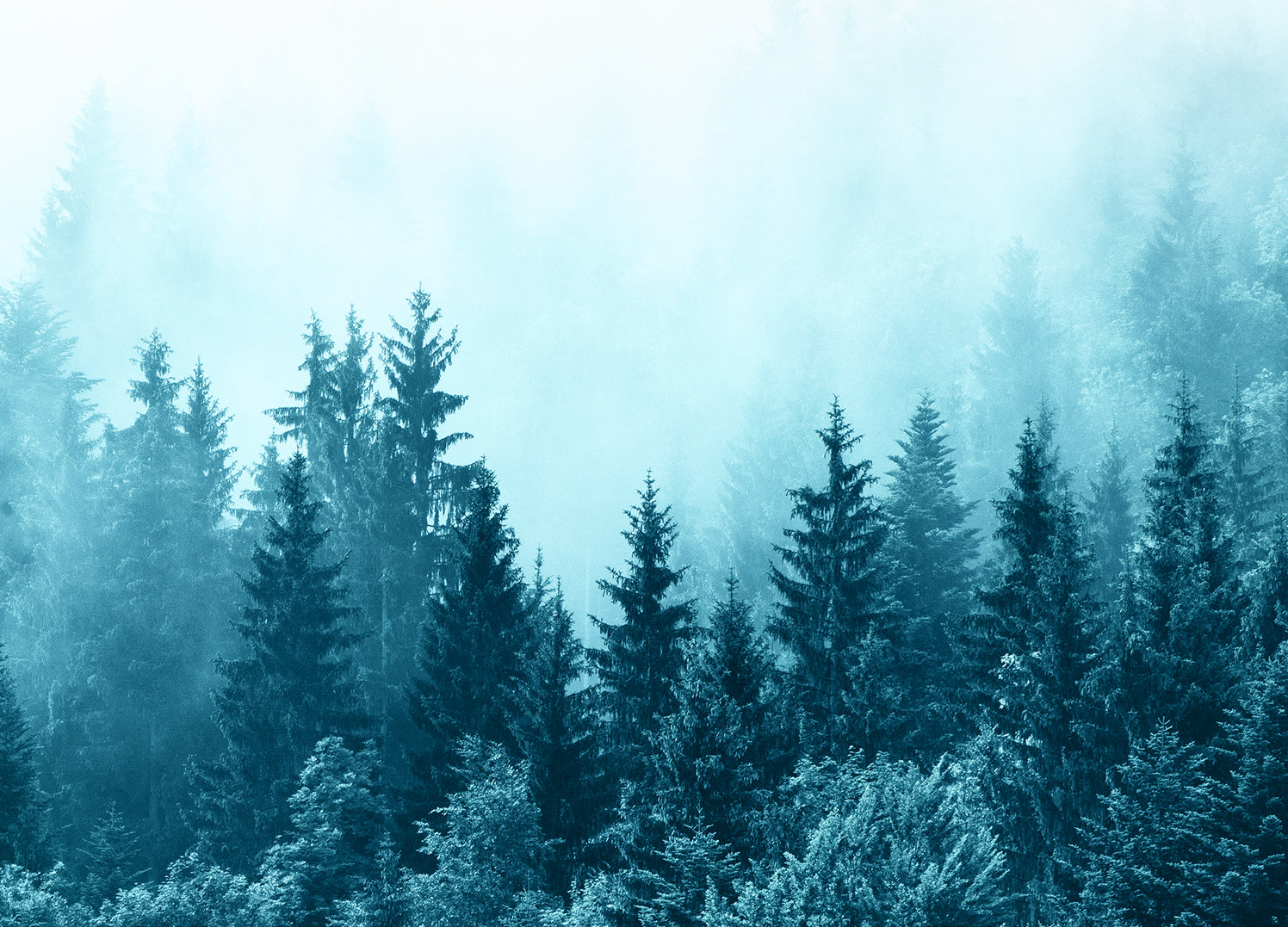 Ljuddämpande tavla - Misty Mountains
