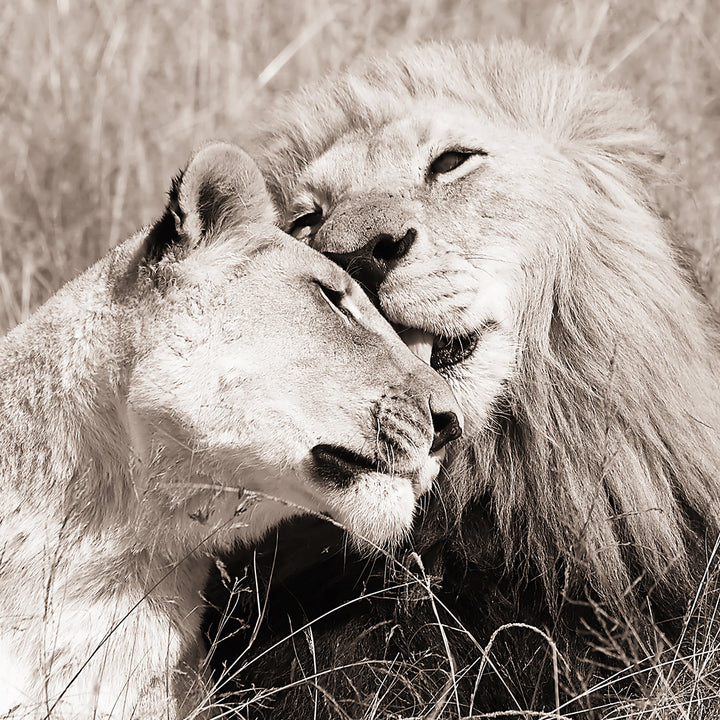 Ljuddämpande tavla - Together We are Strong