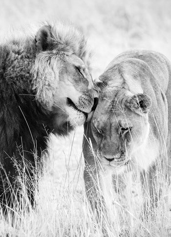 Ljuddämpande tavla - A King Only Bows Down to His Queen | Gray