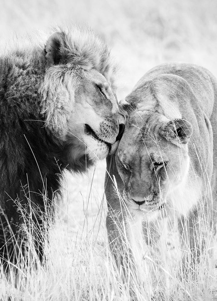 Ljuddämpande tavla - A King Only Bows Down to His Queen | Gray