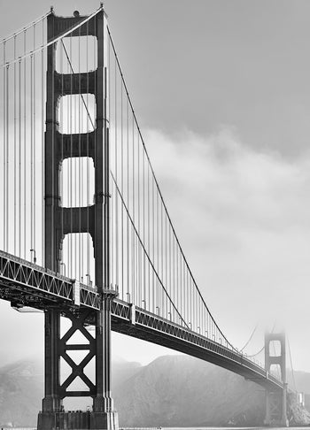 Ljuddämpande tavla - California