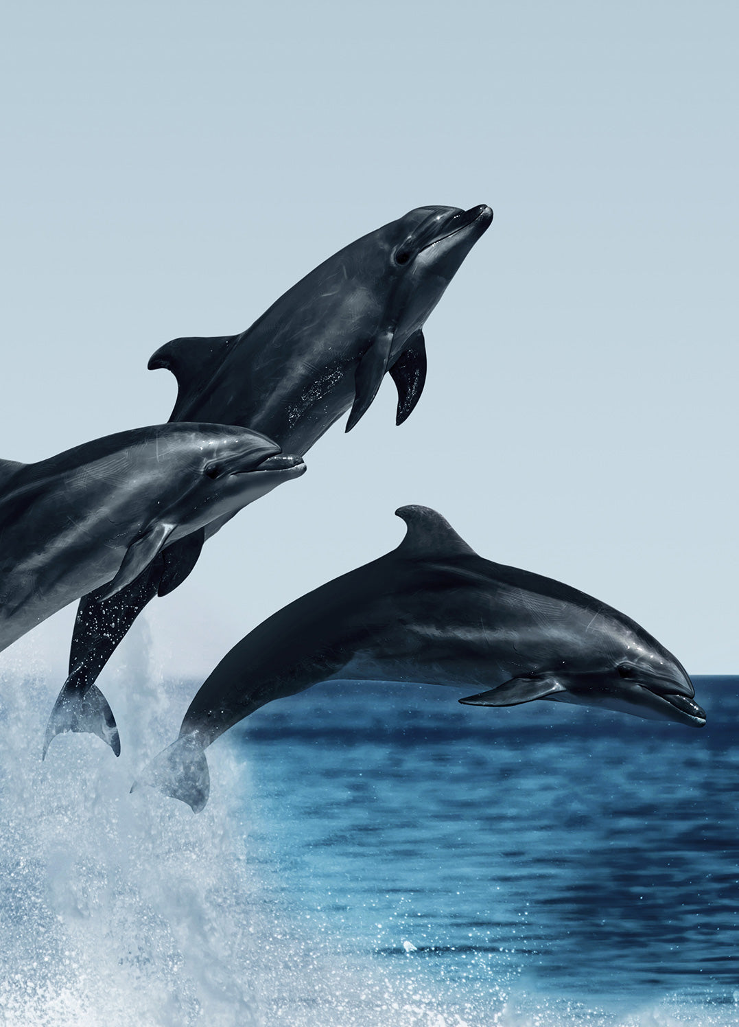 Ljuddämpande tavla - Dolphins